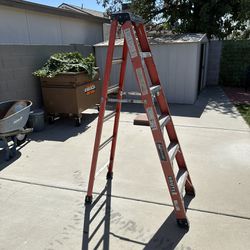 6ft Ladder 