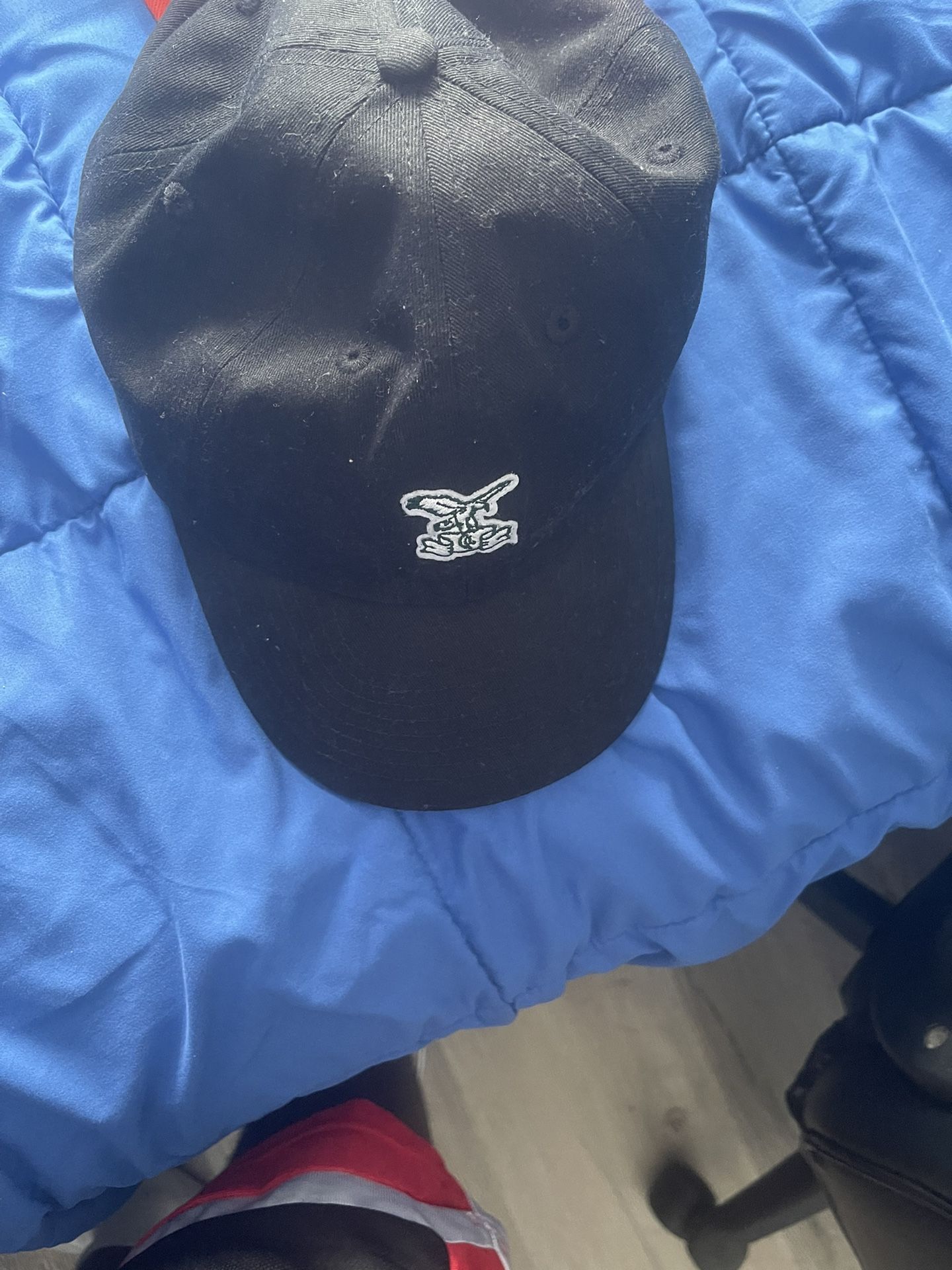 Hat With Bird Logo