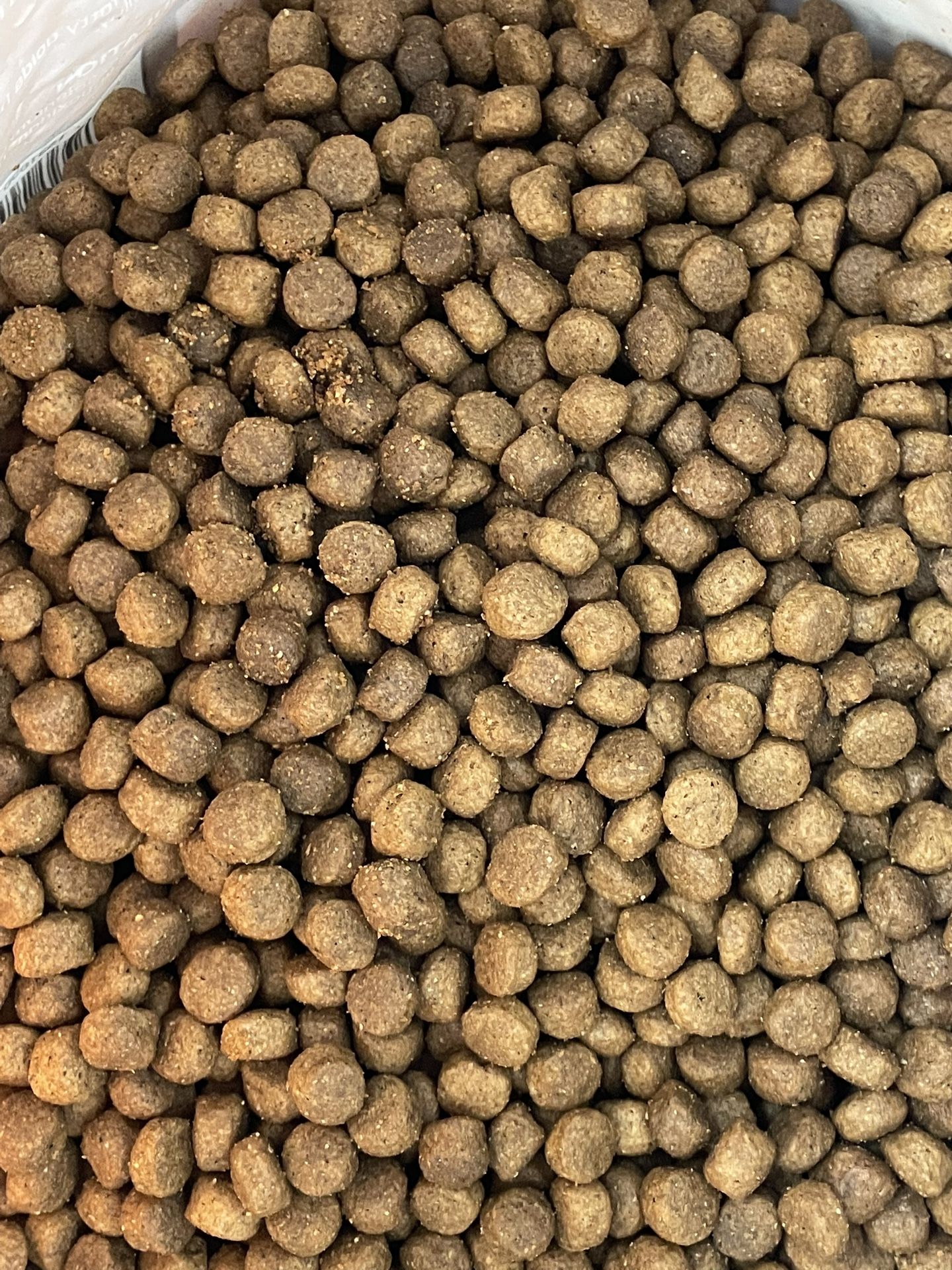 Dog Food