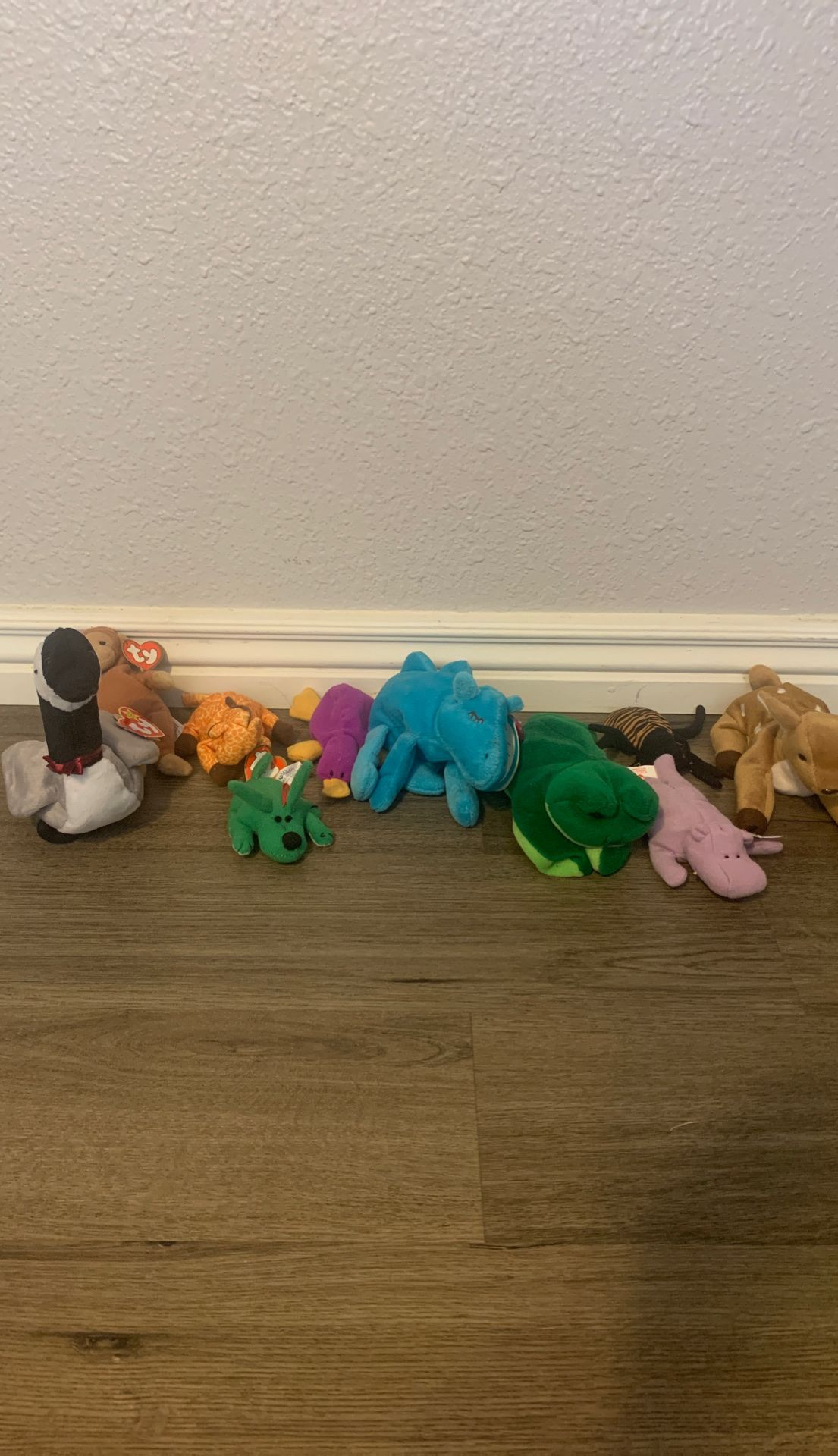 Beanie baby lot