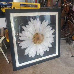 Large Framed Daisy Wall Art – Modern Black Frame – Like New
