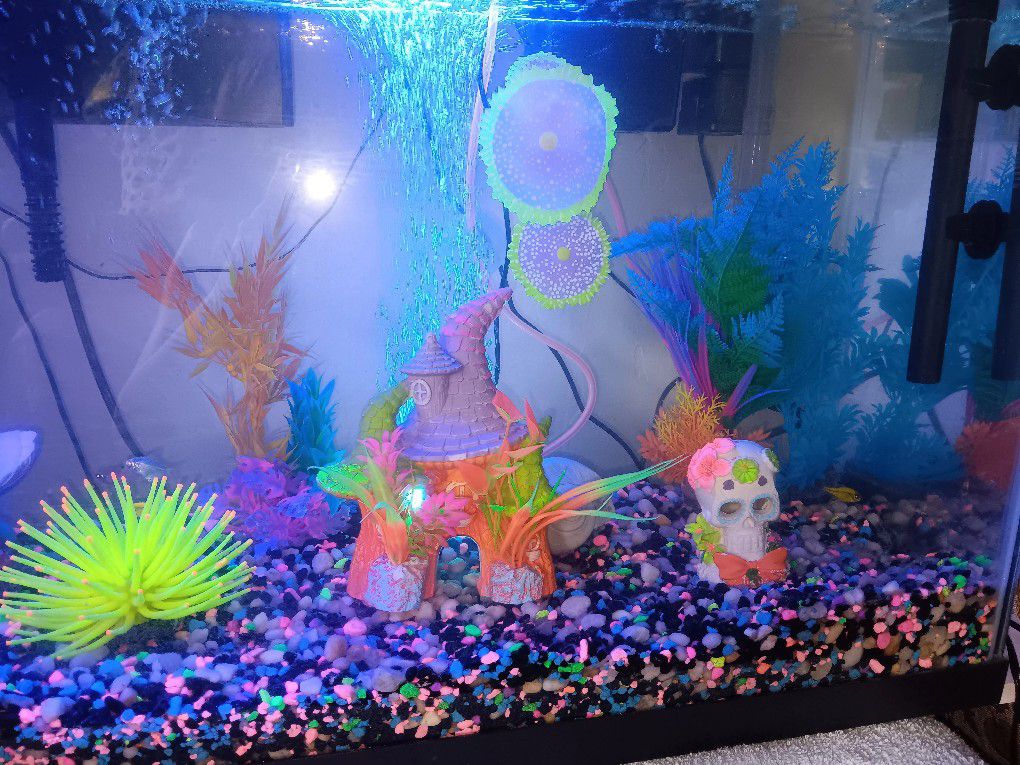 Glo Fish Tank 
