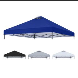 Carpa  8x10