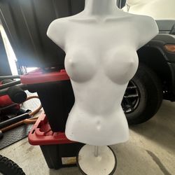 Manikin