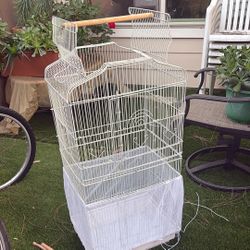 Bird Cage