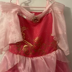 Sleeping Beauty Dress