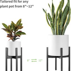  Plant Stand