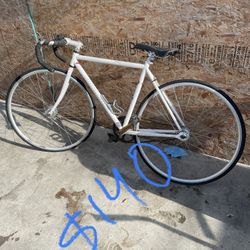  Bikes Jaulas Canasta Para Car