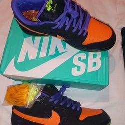 Nike Dunk SB Size 10