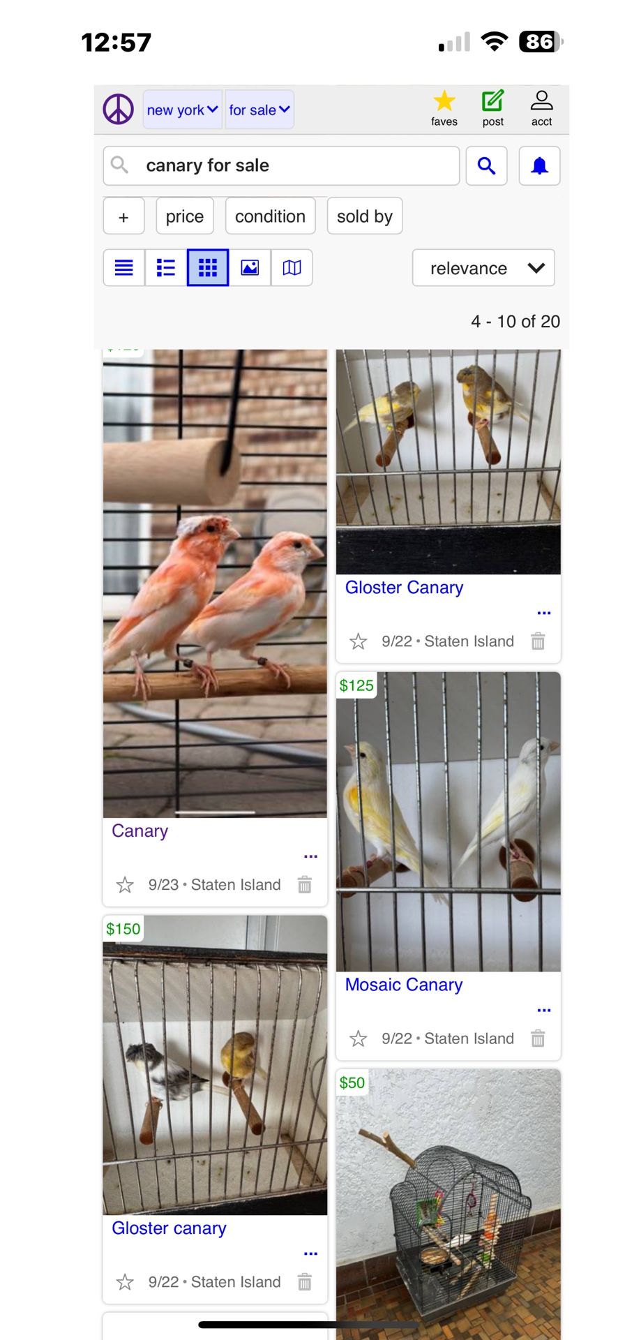 Canary Storm
