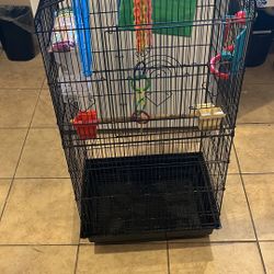 Bird Cage 