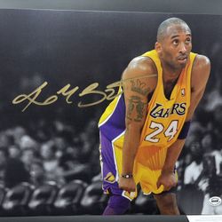 Los Angeles Lakers Kobe Bryant Signed 11 X 14 Photograph