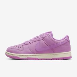 Women Brand New Nike Dunk 9.5 