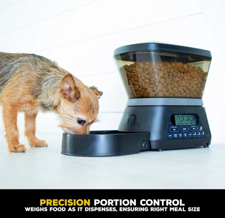 Gamma2 Nano Automatic Dog Feeder & Cat Feeder 7.5lb Cat Food or Dog Food Storage Capacity