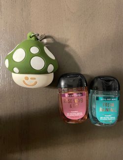 Hand sanitizer holder and refills