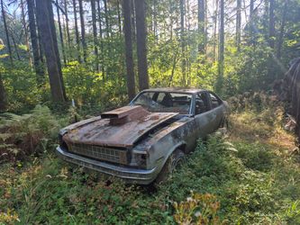 1970 Nova