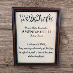 We The People 2nd Amendment Framed Art