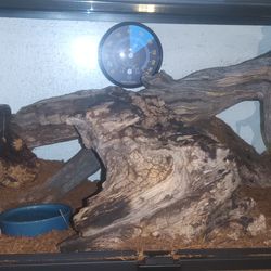 10 gallon tarantula enclosure!