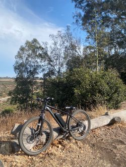 All black 36v qlife ebike