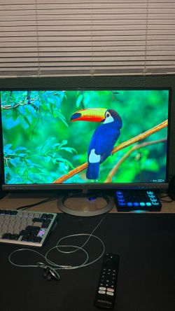 ASUS gaming monitor