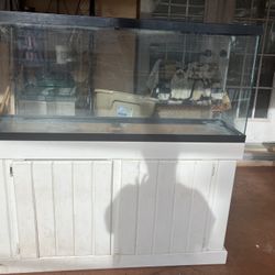 55 Gallon Fish Tank 