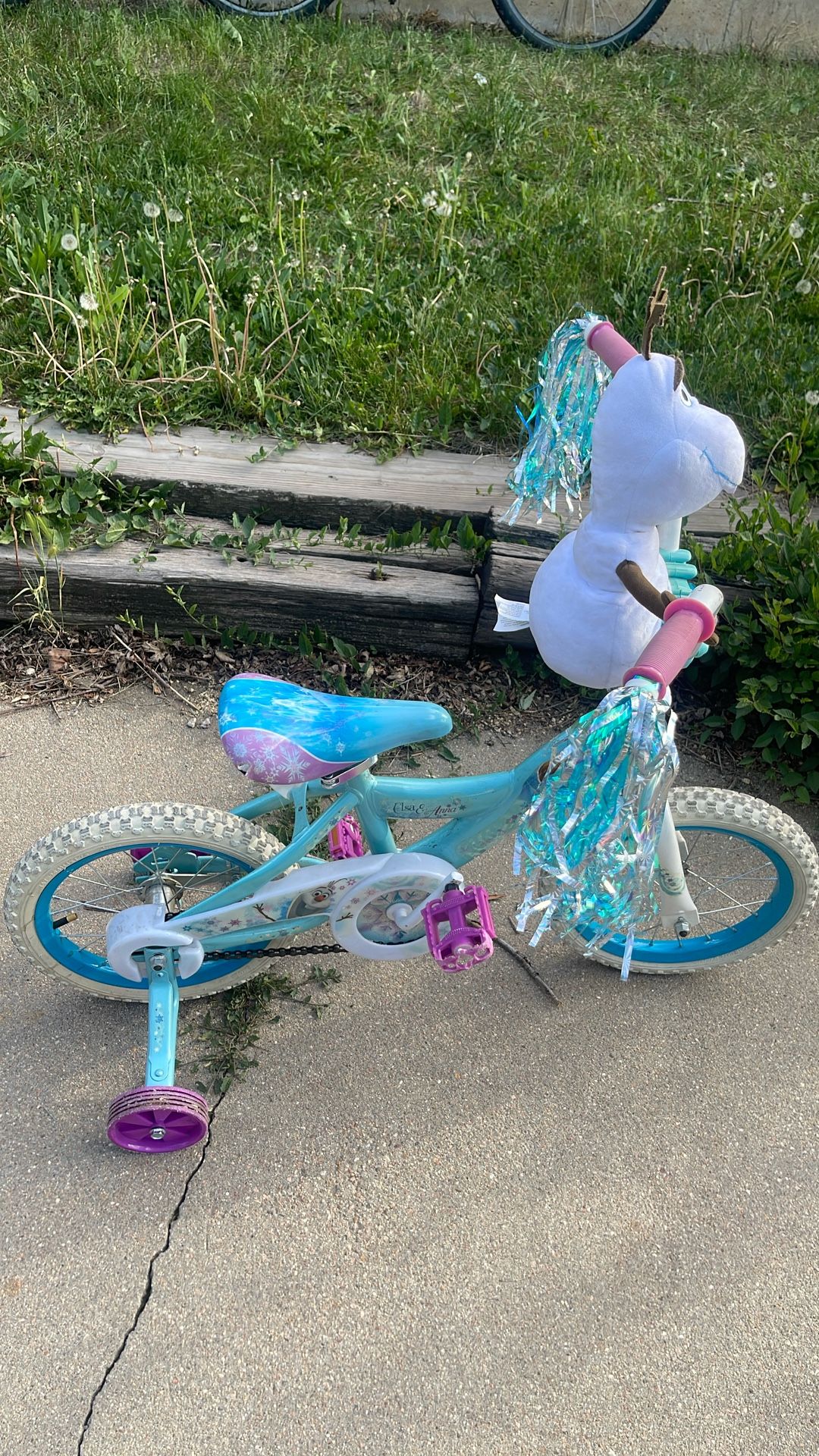 Frozen 14in Bike With Training Wheels