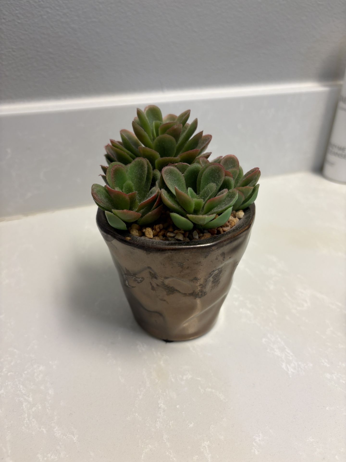Fake Plant succulent Decor