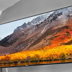 55' 4k Vizio  w/Swivel Mount   Used Less Than A YEAR