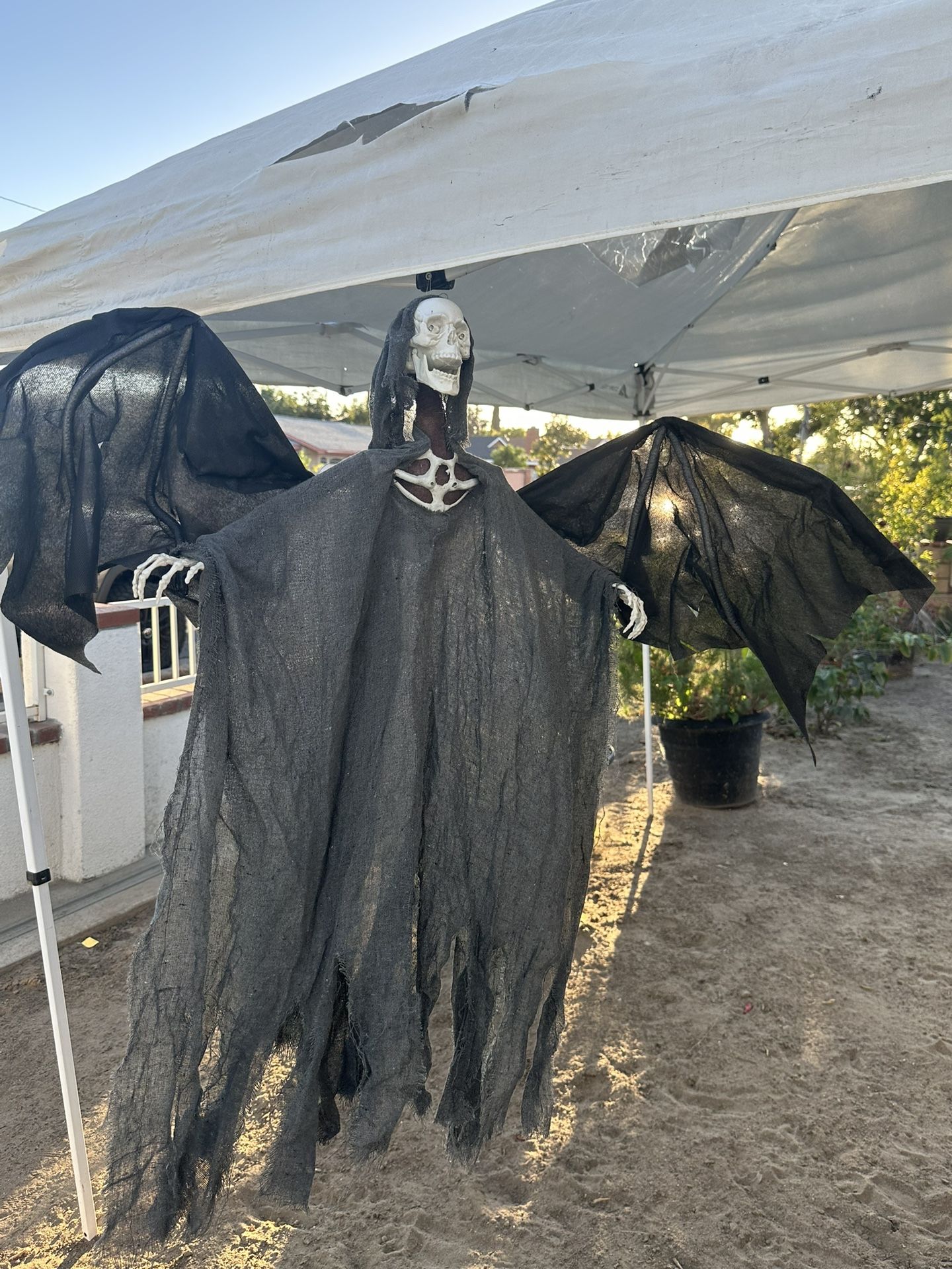 Skeleton Halloween Decoration 