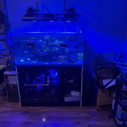 Red Sea 425XL