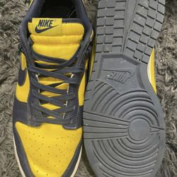 Nike Michigan dunk