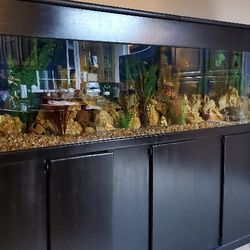 240 Gallon Acrylic Fish Tank