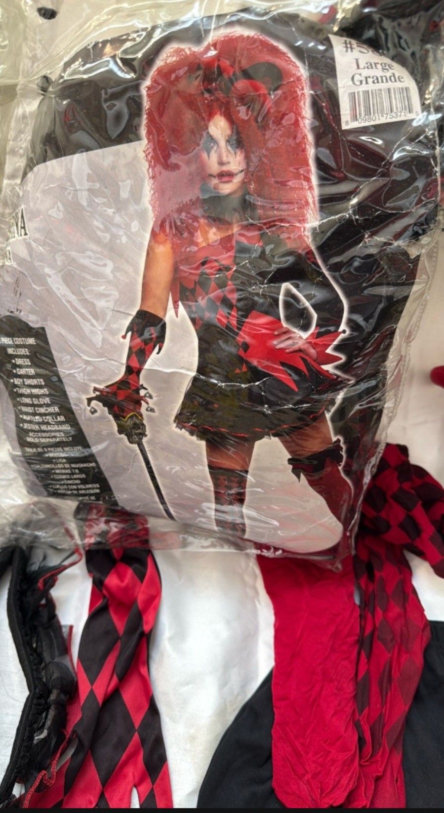 Jesterina Halloween Costume 