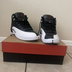 Air Jordan 12