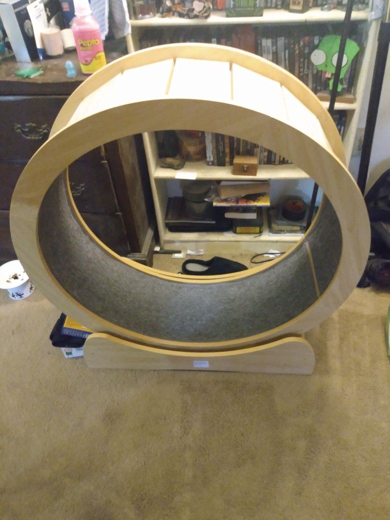 Cat's Exercise Wheel