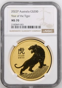 Gold Coin
