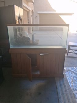Large Glass Aquarium Tank with Wood Stand