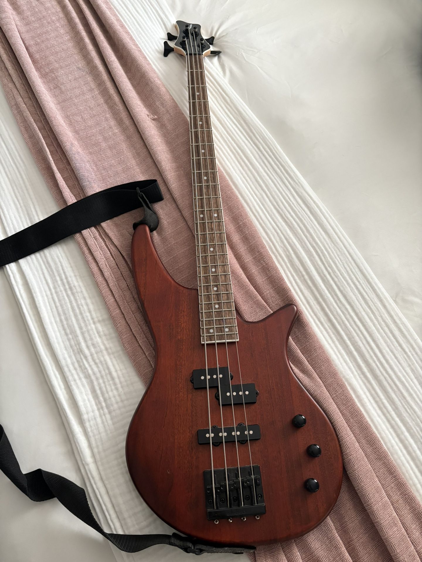 Jackson Bass