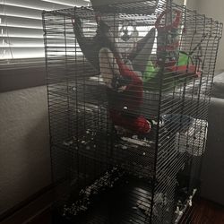 3 level rodent/small animal cage