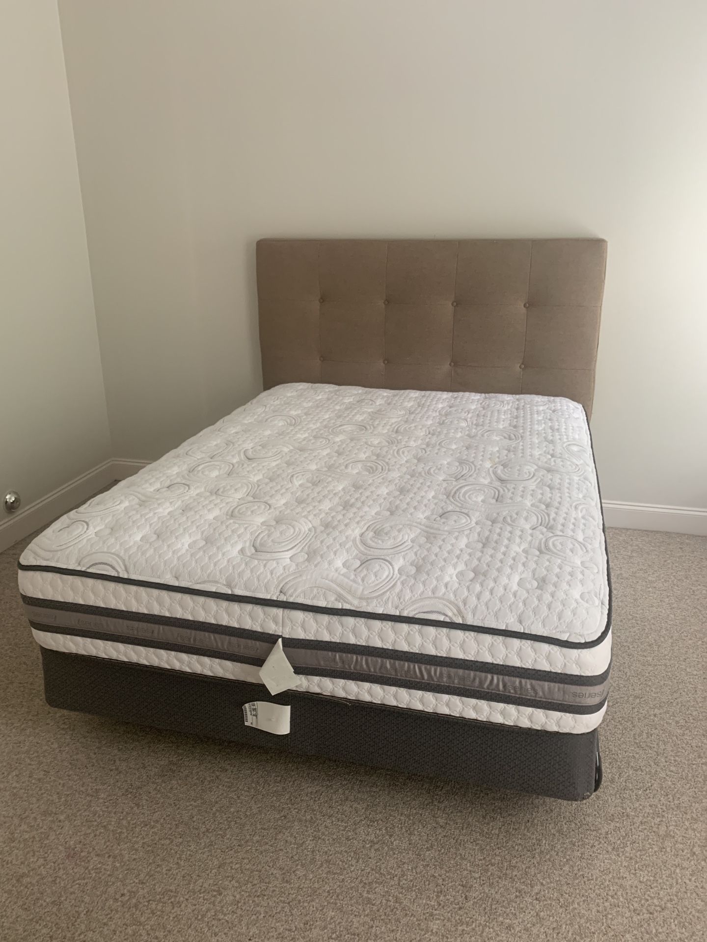 Full Size Mattress/boxspring with Headboard 