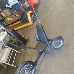 Mobo Triton 16" 3-wheel Cruiser Recumbent Bike for Kids