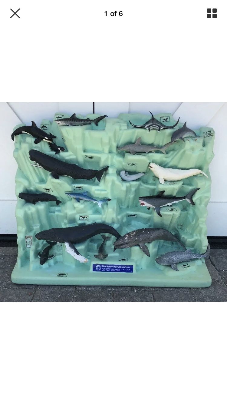 Vintage gift shop display for Monterey Aquarium