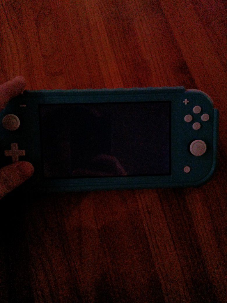 Nintendo Switch Lite With Game