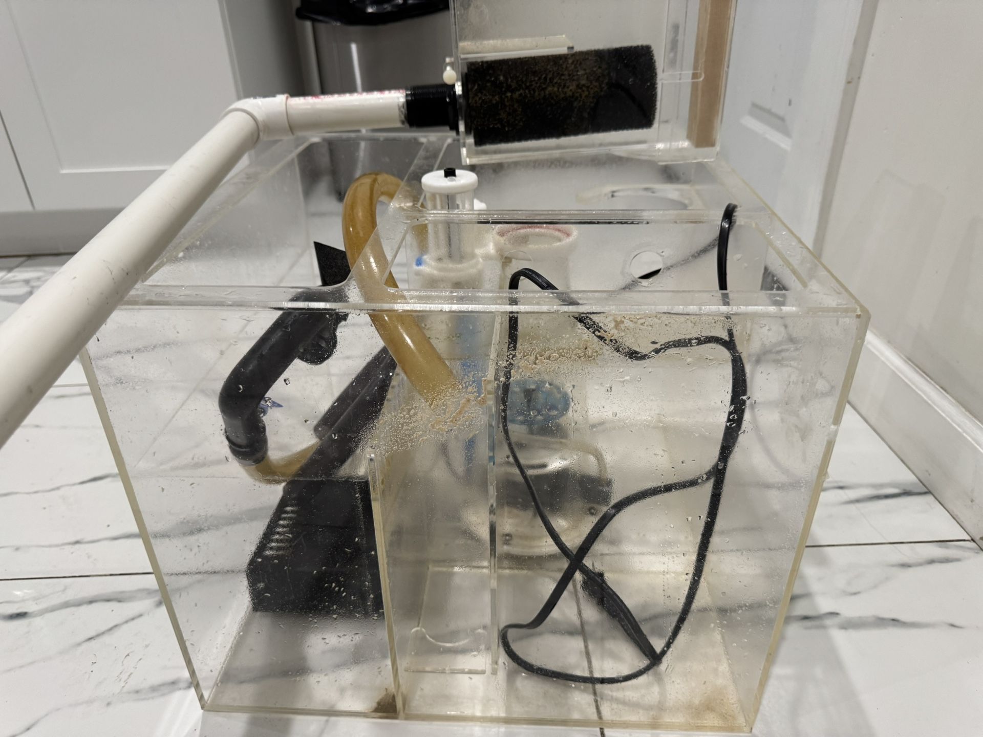 Sump Aquarium