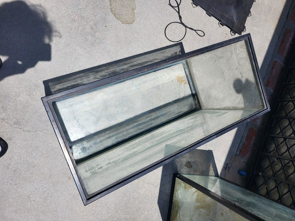 Fish Tank