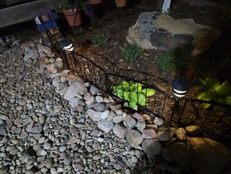 Solar Pathway Lights by Hampton - 10 Lights