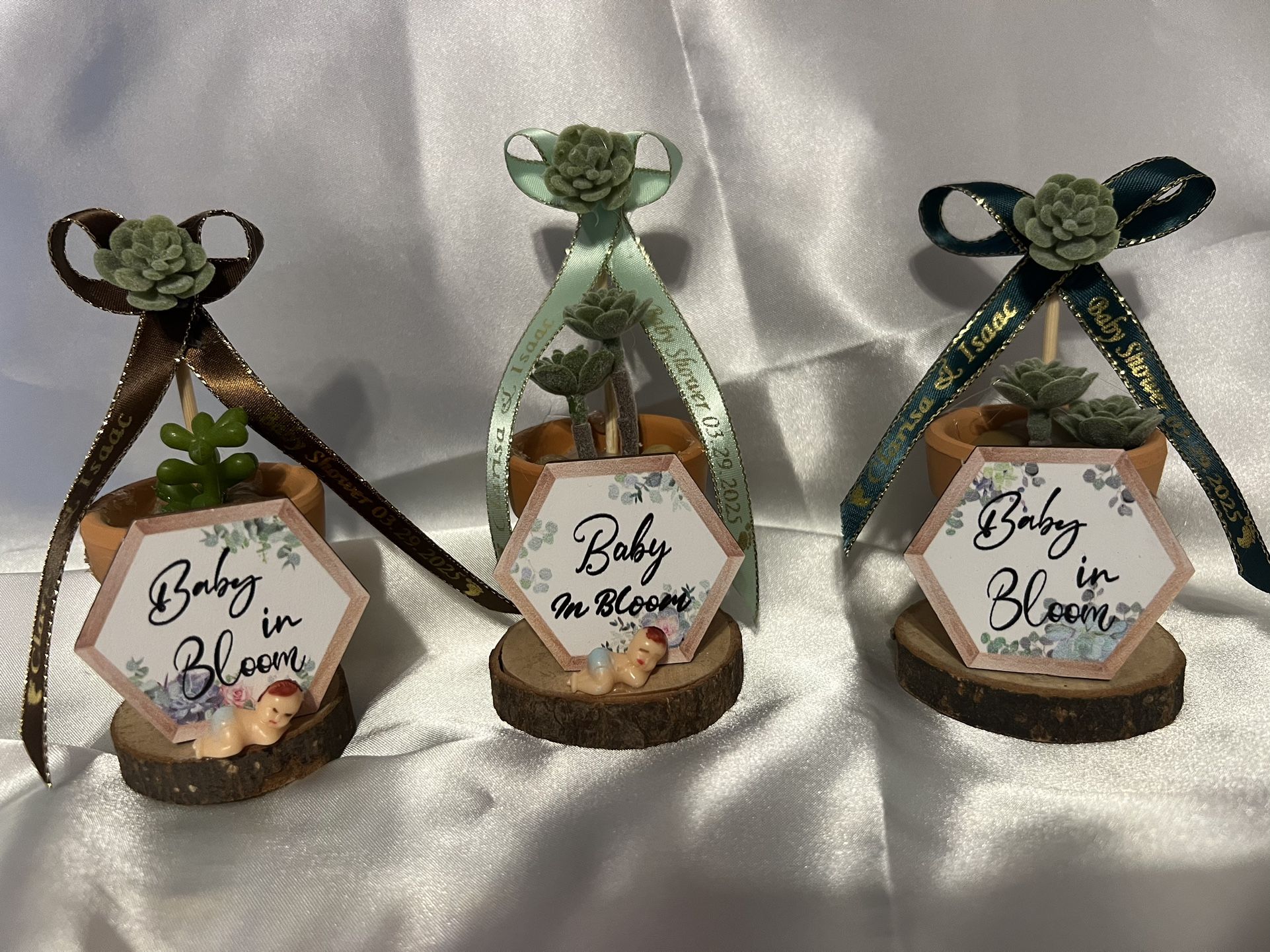 Succulent Party Favors - Great For Baby showers
