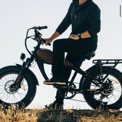 $700 Obo Cheetah Mini E Bike