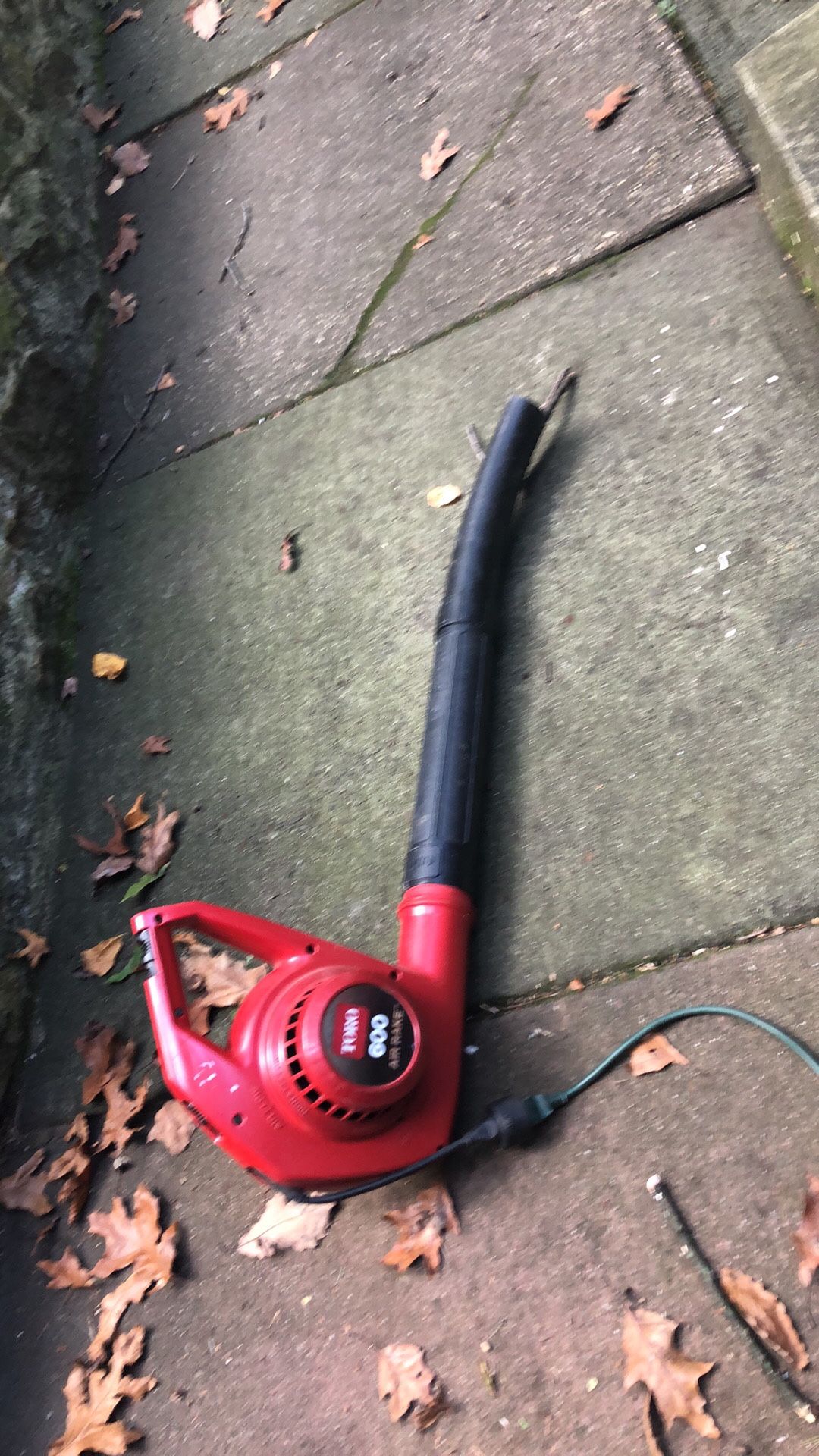Toto 600 Electric leaf blower very strong