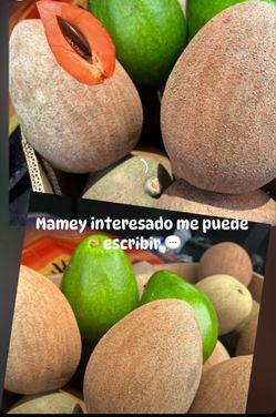 Aguacate y mamey oh. zapote.